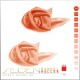 Seidentuch Luxus Ponge 4.2, 2er-Set, 45 x 45cm, Peach Fuzz Seidentuch Luxus Ponge 4.2, 2er-Set, 45 x 45cm, Peach Fuzz