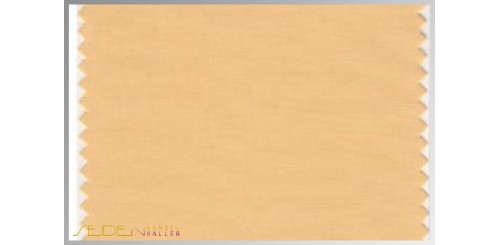 Farbmuster Apricot-Cream