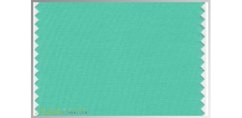Farbmuster Biscay-Green