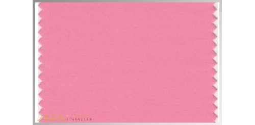 Farbmuster Conch-Shell