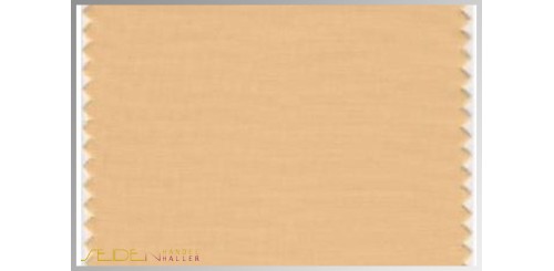 Farbmuster Desert-Mist