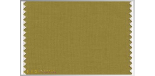 Farbmuster Ecru-Olive