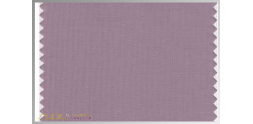 Farbmuster Elderberry