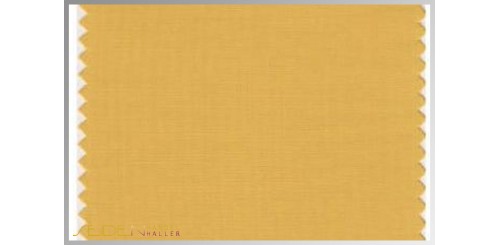 Farbmuster Golden-Apricot