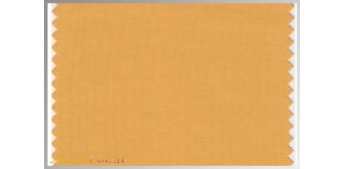 Farbmuster Golden-Nugget