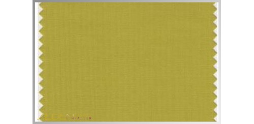 Farbmuster Golden-Olive
