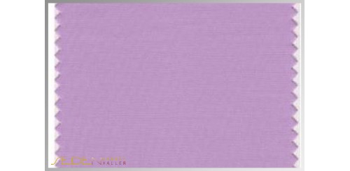 Farbmuster Lupine