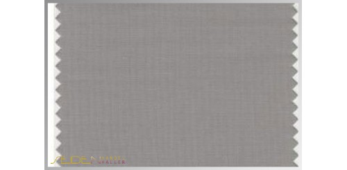Farbmuster Mourning-Dove