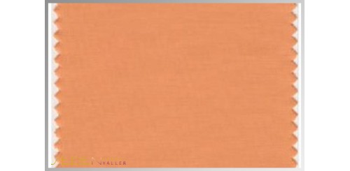 Farbmuster Muskmelon
