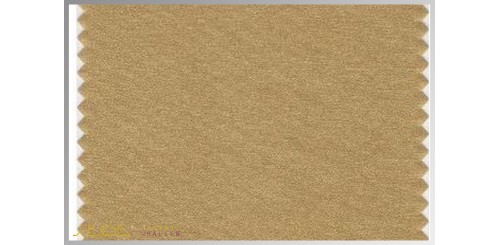Farbmuster Pale-Gold