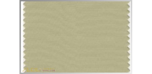 Farbmuster Pale-Olive-Green