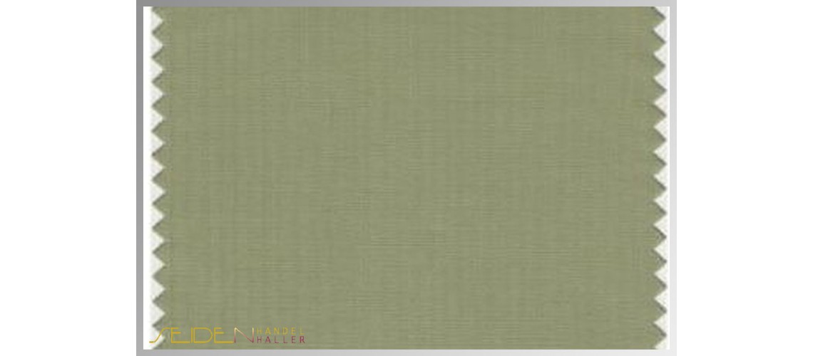 Farbmuster Sage