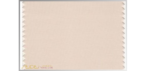 Farbmuster Sand-Dollar