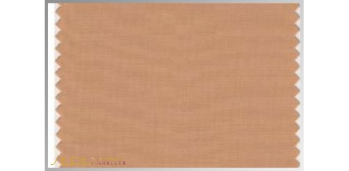 Farbmuster Sandstorm