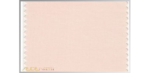 Farbmuster Scallop-Shell