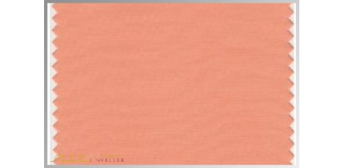 Farbmuster Shell-Coral