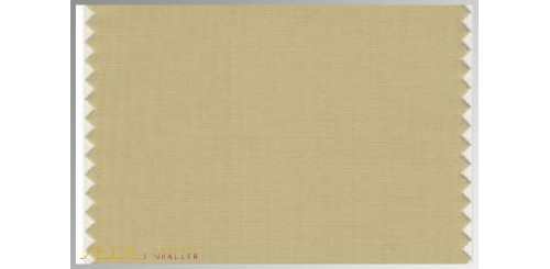 Farbmuster Silver-Fern