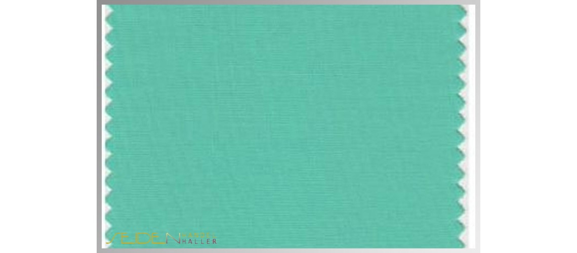 Farbmuster Spearmint