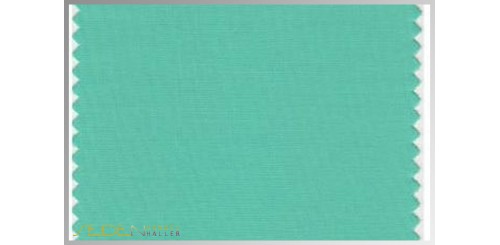 Farbmuster Spearmint