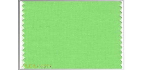 Farbmuster Summer-Green