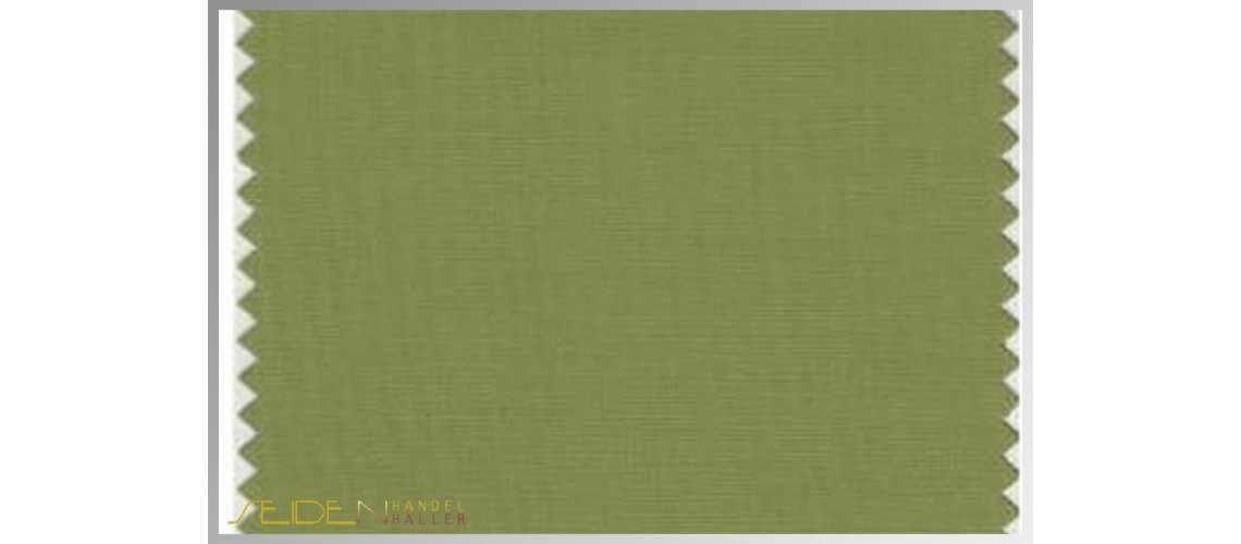 Farbmuster Turtle-Green