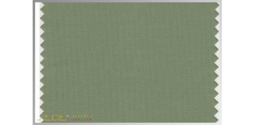 Farbmuster Watercress