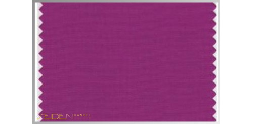 Farbmuster Wild-Aster