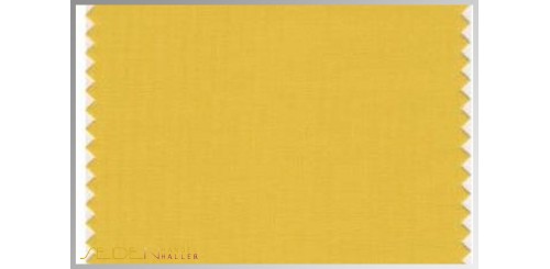 Farbmuster Yolk-Yellow