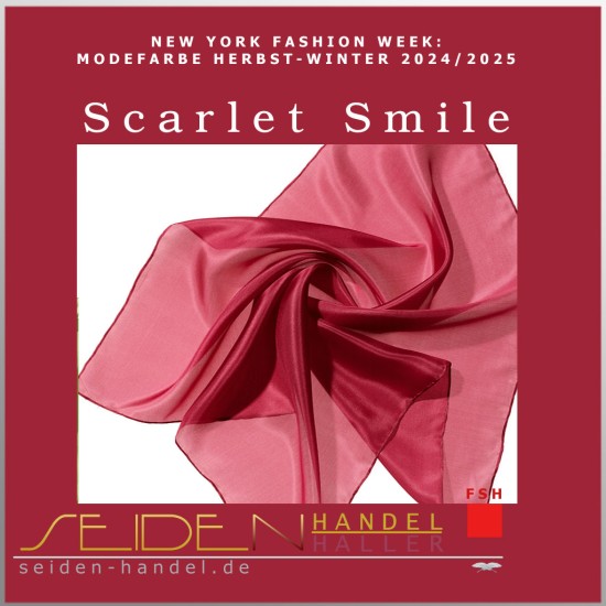 Seidentuch Ponge 05, Format: 55 x 55cm, Modefarbe Herbst/Winter 2024/25 Seidentuch Ponge 05, Format: 55 x 55cm, Modefarbe Herbst/Winter 2024/25