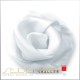 Seidentuch Silk Etamine 06, 90 x 90cm, Lucent White Seidentuch Silk Etamine 06, 90 x 90cm, Lucent White