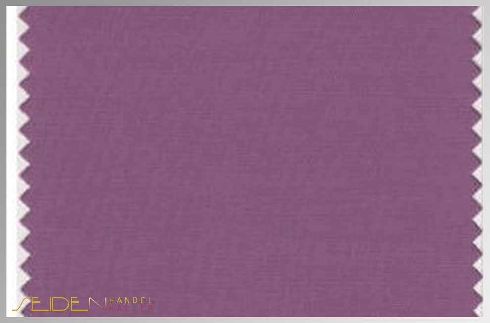 Argyle-Purple