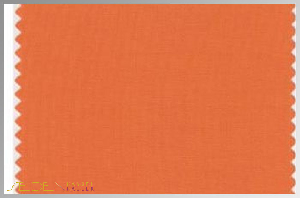 Celosia-Orange