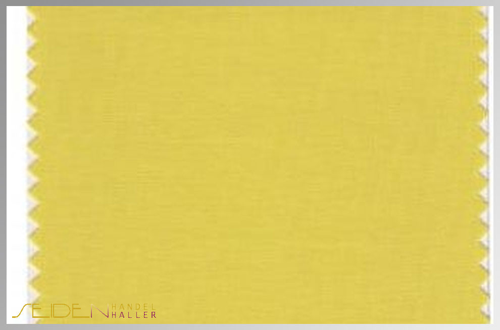 Cream-Gold