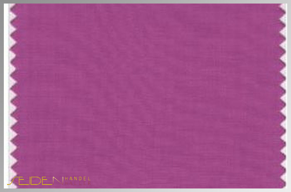 Dahlia-Mauve
