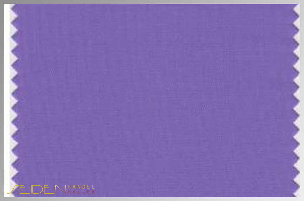 Dahlia-Purple