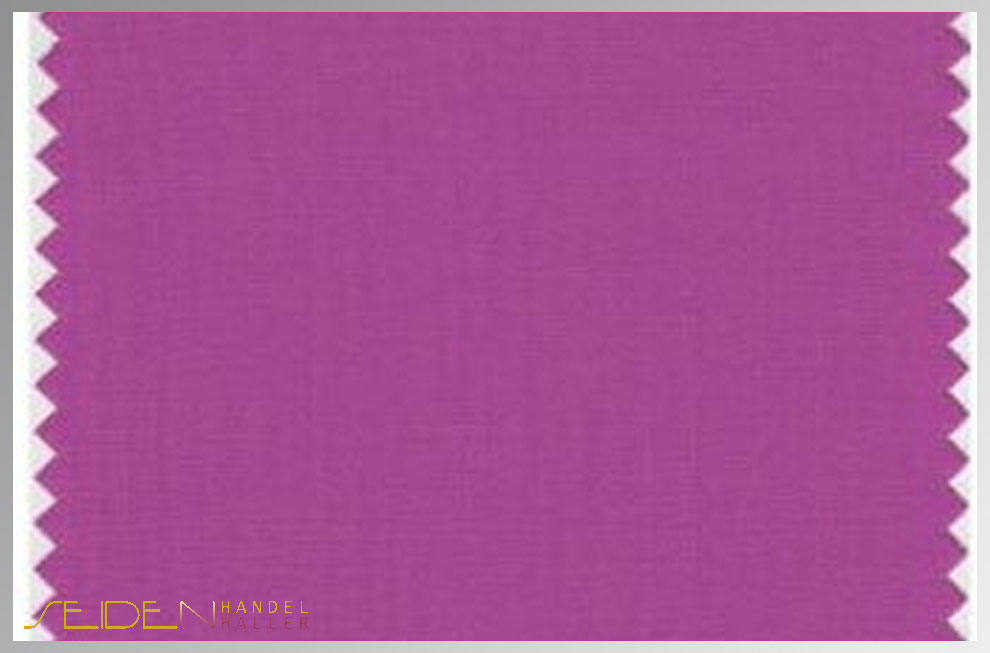 Purple-Orchid