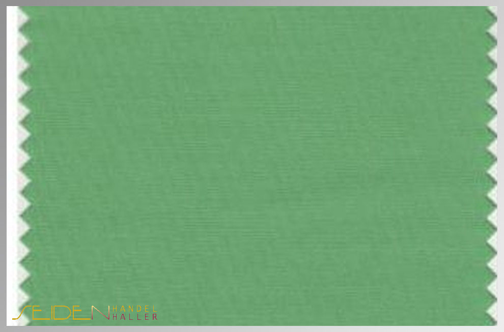 Shamrock