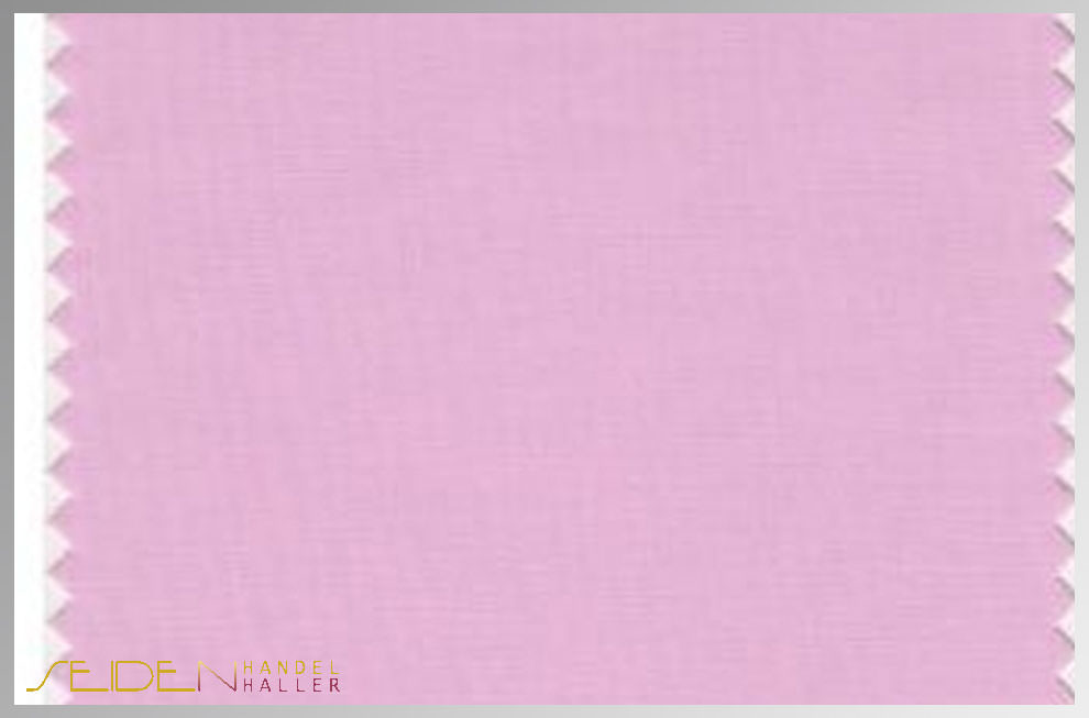 Sweet-Lilac