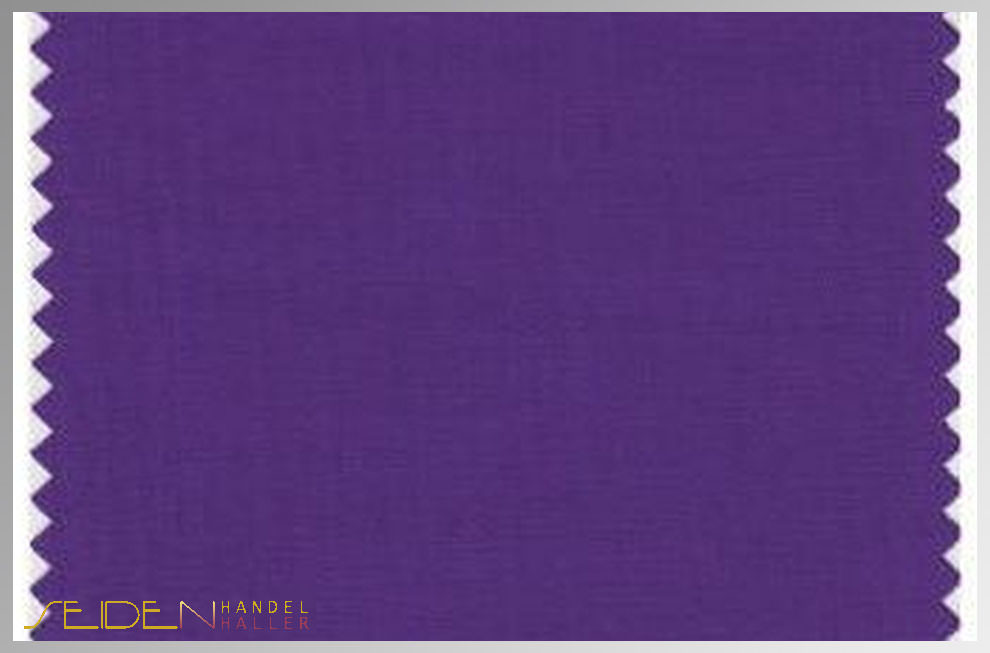 Tillandsia-Purple